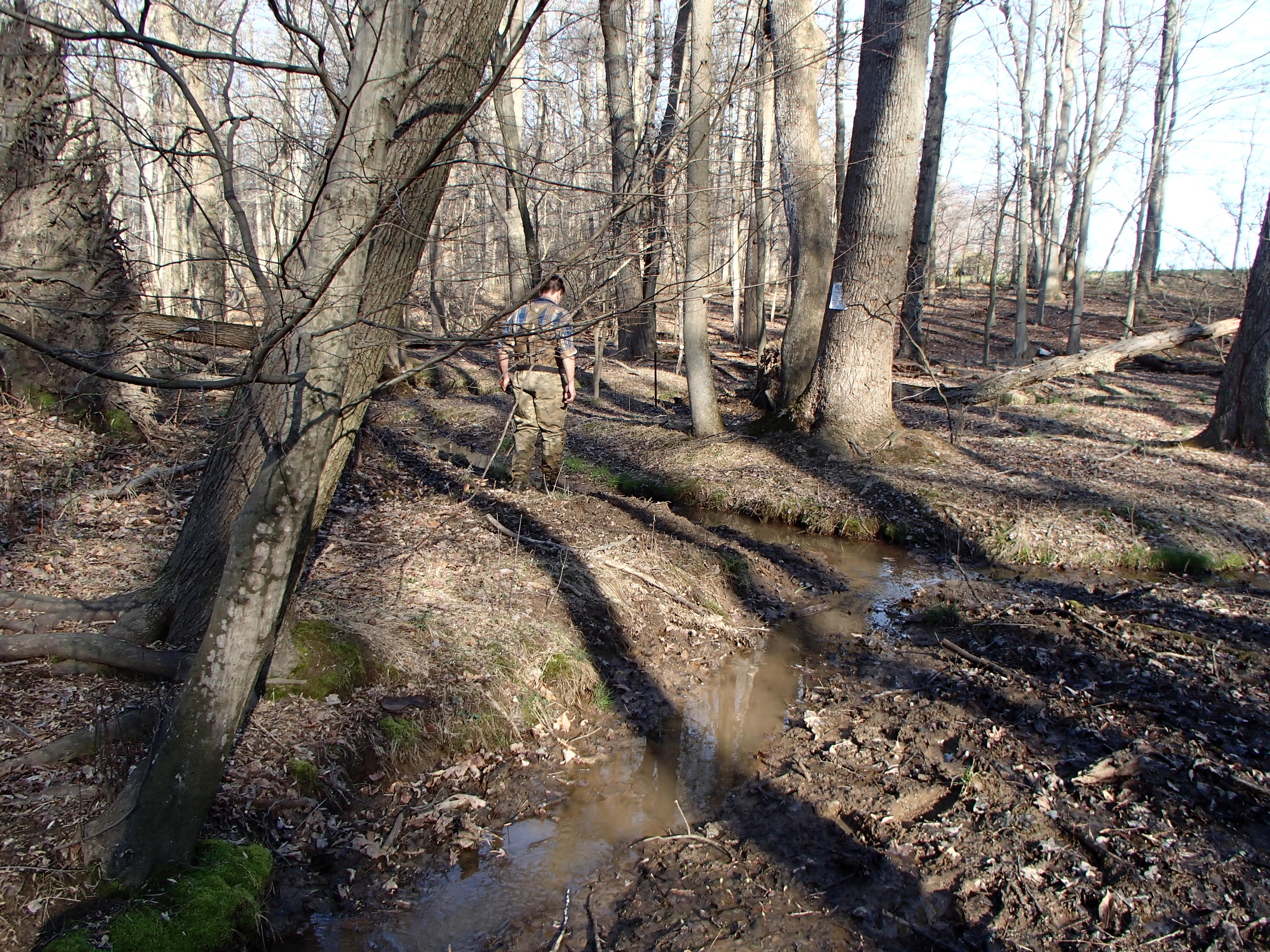 Field photo showing stream conditions at site LANG-115-R-2016_midpoint downstream